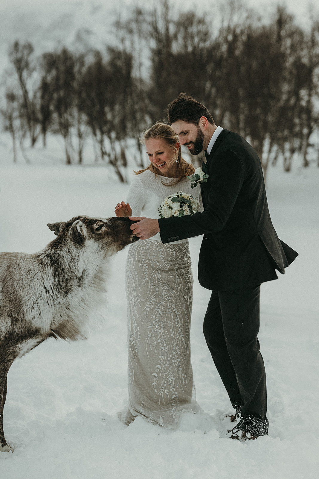 Wedding couple cuddling reindeer in Norway